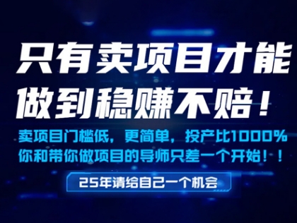 只有卖项目才能做到稳挣不赔,门槛低,更简单,你也可以年入百个W【揭秘】-烽云网
