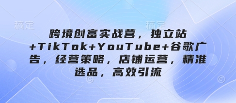 跨境创富实战营,独立站+TikTok+YouTube+谷歌广告,经营策略,店铺运营,精准选品,高效引流-烽云网
