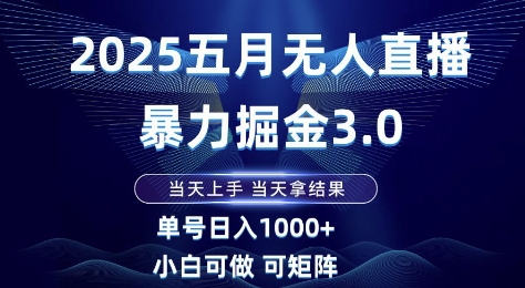 2025五月无人直播暴力掘金3.0,当天上手,当天拿结果,单号日入1k+小白可做可矩阵【揭秘】-烽云网