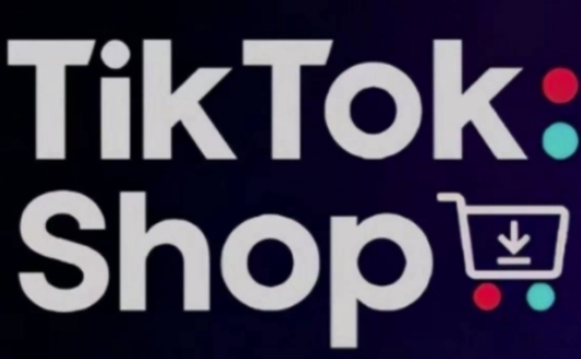 TikTokShop跨境电商0-1实战,手把手教你低成本启动海外市场(更新)-烽云网