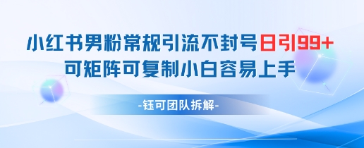 小红书男粉常规引流不封号日引99+变现简单 可矩阵可复制小白容易上手-烽云网