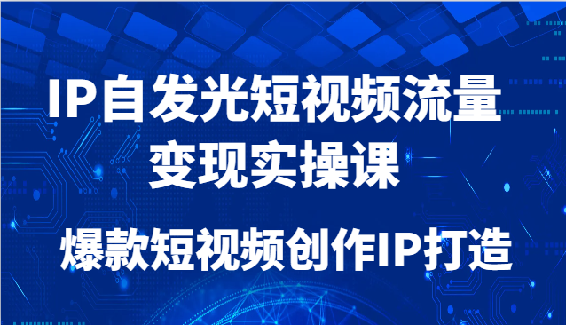 IP自发光短视频流量变现实操课,爆款短视频创作IP打造-烽云网