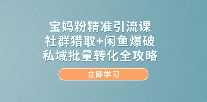 宝妈粉精准引流课,社群猎取+闲鱼爆破,私域批量转化全攻略-烽云网